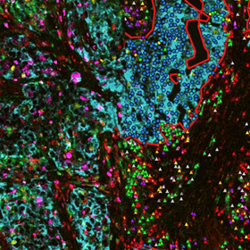 Register for the upcoming webinar on  February 26th